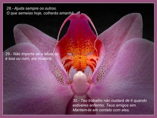 28.- Ajuda sempre os outros.  O que semeias hoje, colherás amanhä. 29.- Näo importa se a situaçäo é boa ou ruim, ela mudará. 30.- Teu trabalho näo cuidará de ti quando estiveres enfermo. Teus amigos sim. Mantem-te em contato com eles. 