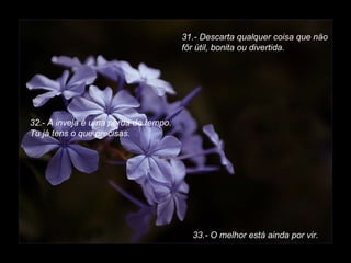 31.- Descarta qualquer coisa que näo fôr útil, bonita ou divertida. 32.- A inveja é uma perda de tempo.   Tu já tens o que precisas. 33.- O melhor está ainda por vir. 