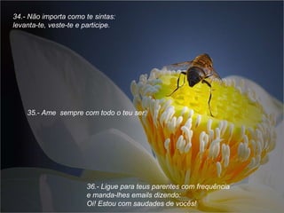 34.- Não importa como te sintas: levanta-te, veste-te e participe. 35.- Ame  sempre com todo o teu ser. 36.- Ligue para teus parentes com frequência  e manda-lhes emails dizendo:  Oi! Estou com saudades de vocês! 