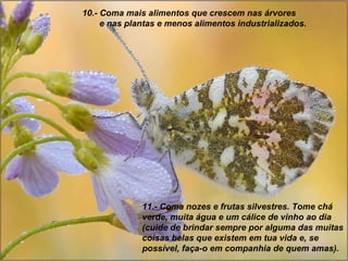 10.- Coma mais alimentos que crescem nas árvores  e nas plantas e menos alimentos industrializados. 11.- Coma nozes e frutas silvestres. Tome chá verde, muita água e um cálice de vinho ao dia (cuide de brindar sempre por alguma das muitas coisas belas que existem em tua vida e, se possível, faça-o em companhia de quem amas). 