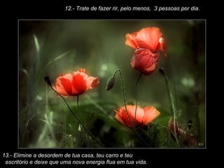 12.- Trate de fazer rir, pelo menos,  3 pessoas por dia. 13.- Elimine a desordem de tua casa, teu carro e teu escritório e deixe que uma nova energia flua em tua vida. 