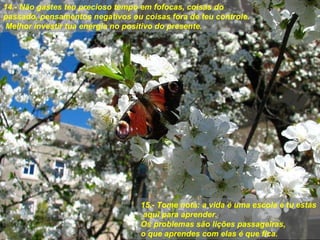 14.- Não gastes teu precioso tempo em fofocas, coisas do passado, pensamentos negativos ou coisas fora de teu controle.  Melhor investir tua energia no positivo do presente. 15.- Tome nota: a vida é uma escola e tu estás  aqui para aprender.  Os problemas são lições passageiras, o que aprendes com elas é que fica. 