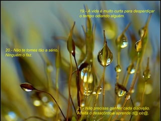 19.- A vida é muito curta para desperdiçar o tempo odiando alguém. 20.- Näo te tomes täo a sério. Ninguém o faz. 21.- Näo precisas ganhar cada discusäo. Aceita o desacôrdo e aprende d@ otr@. 