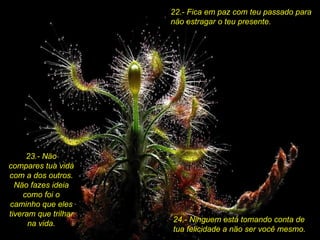 22.- Fica em paz com teu passado para näo estragar o teu presente. 24.- Ninguem está tomando conta de tua felicidade a näo ser você mesmo. 23.- Näo compares tua vida com a dos outros. Näo fazes ideia como foi o caminho que eles tiveram que trilhar na vida. 