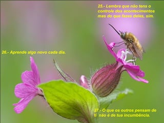 25.- Lembra que näo tens o controle dos acontecimentos mas do que fazes deles, sim . 26.- Aprende algo novo cada dia. 27.- O que os outros pensam de ti  näo é de tua incumbência. 