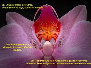 28.- Ajuda sempre os outros.  O que semeias hoje, colherás amanhä. 29.- Näo importa se a situaçäo é boa ou ruim, ela mudará. 30.- Teu trabalho näo cuidará de ti quando estiveres enfermo. Teus amigos sim. Mantem-te em contato com eles. 