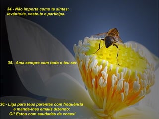 34.- Näo importa como te sintas: levánta-te, veste-te e participa. 35.- Ama sempre com todo o teu ser. 36.- Liga para teus parentes com frequência  e manda-lhes emails dizendo:  Oi! Estou com saudades de voces! 