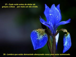 37.- Cada noite antes de deitar dá graças a Deus  por mais um dia vivido.   38.- Lembra que estás demasiado abençoado como para estar estressado. 