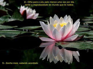 8.- Olha para o céu pelo menos uma vez por dia, sente a majestosidade do mundo que te rodeia.  9 .- Sonha mais, estando acordado 