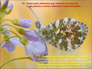 10.- Come mais alimentos que crescem nas àrvores  e nas plantas e menos alimentos industrializados. 11.- Come nozes e frutas silvestres. Toma chá verde, muita água e um cálice de vinho ao dia (cuida de brindar sempre por alguma das muitas coisas belas que existem em tua vida e, se possivel, fá-lo em companhía de quem amas). 
