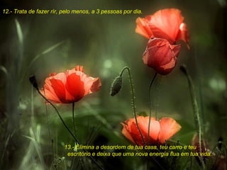 12.- Trata de fazer rír, pelo menos, a 3 pessoas por dia. 13.- Elimina a desordem de tua casa, teu carro e teu escritório e deixa que uma nova energía flua em tua vida. 