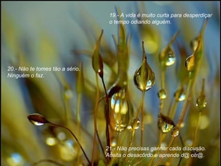 19.- A vida é muito curta para desperdiçar o tempo odiando alguém. 20.- Näo te tomes täo a sério. Ninguém o faz. 21.- Näo precisas ganhar cada discusäo. Aceita o desacôrdo e aprende d@ otr@. 