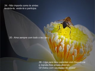 34.- Näo importa como te sintas: levánta-te, veste-te e participa. 35.- Ama sempre com todo o teu ser. 36.- Liga para teus parentes com frequência  e manda-lhes emails dizendo:  Oi! Estou com saudades de voces! 