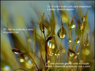 19.- A vida é muito curta para desperdiçar o tempo, odiando alguém. 20.- Não se tome tão a sério. Ninguém o faz. 21.- Não precisas ganhar cada discussão. Aceite o desacordo e aprenda com o outro. 