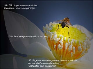 34.- Não importa como te sintas: levanta-te, vista-se e participa. 35.- Ame sempre com todo o seu ser. 36.- Lige para os teus parentes com frequência  ou manda-lhes e-mails a dizer:  Olá! Estou com saudades! 