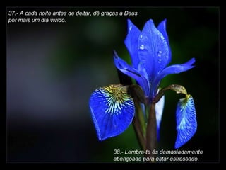 37.- A cada noite antes de deitar, dê graças a Deus  por mais um dia vivido.   38.- Lembra-te és demasiadamente abençoado para estar estressado. 