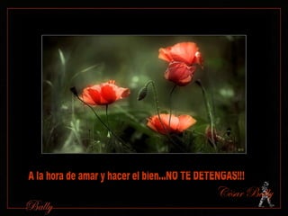 A la hora de amar y hacer el bien...NO TE DETENGAS!!! Cèsar Bally 