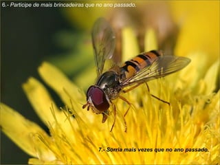 6 .- Participe de mais brincadeiras que no ano passado.  7.- Sorria mais vezes que no ano passado.  