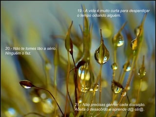 19.- A vida é muito curta para desperdiçar
o tempo odiando alguém.

20.- Näo te tomes täo a sério.
Ninguém o faz.

21.- Näo precisas ganhar cada discusäo.
Aceita o desacôrdo e aprende d@ otr@.

 