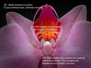 28.- Ajuda sempre os outros.
O que semeias hoje, colherás amanhä.

29.- Näo importa se a situaçäo
é boa ou ruim, ela mudará.

30.- Teu trabalho näo cuidará de ti quando
estiveres enfermo. Teus amigos sim.
Mantem-te em contato com eles.

 