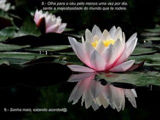 8.- Olha para o céu pelo menos uma vez por dia,
sente a majestosidade do mundo que te rodeia.

9.- Sonha mais, estando acordad@.

 