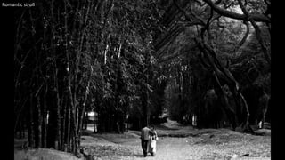 Romantic stroll
19
 