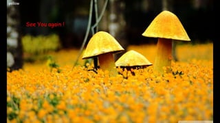yellow
59
See You again !
 