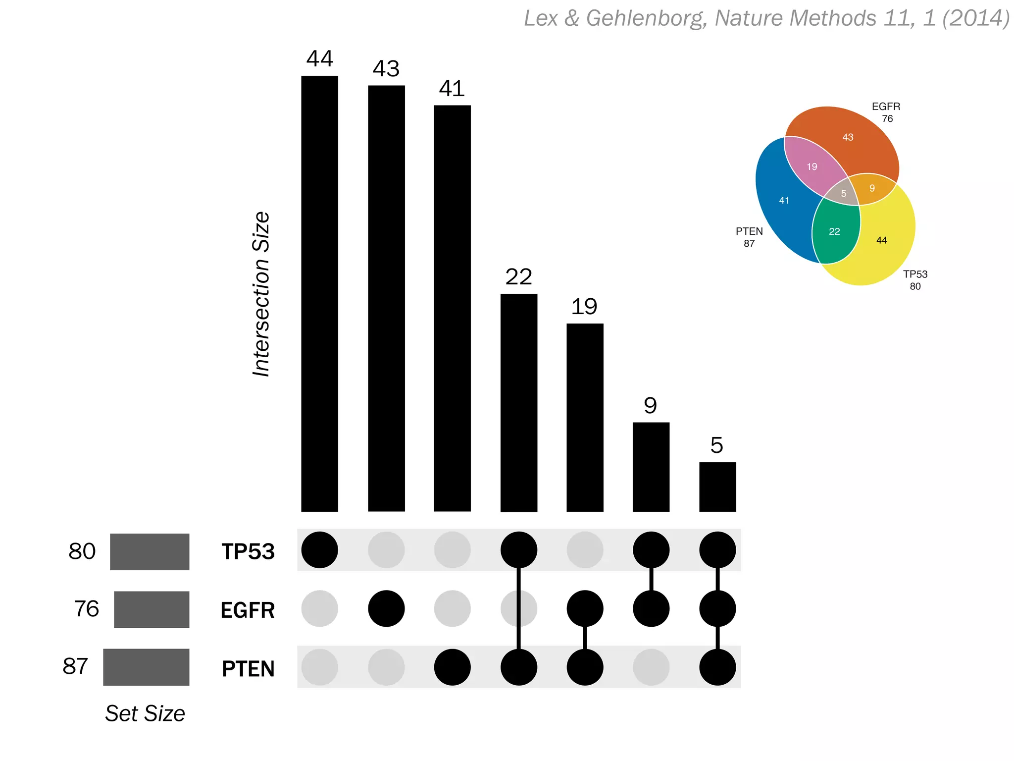 Lex & Gehlenborg, Nature Methods 11, 1 (2014)
TP53
EGFR
PTEN
44 43
41
22
19
9
5
80
76
87
IntersectionSize
Set Size
EGFR
76
PTEN
87
TP53
80
44
22
5
19
43
9
41
 
