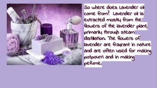 So where does Lavender oil
come from? Lavender oil is
extracted mostly from the
flowers of the lavender plant,
primarily through steam
distillation. The flowers of
lavender are fragrant in nature
and are often used for making
potpourri and in making
pefume.
 