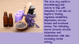 The oil is very useful in
aromatherapy and
seems to help with
relaxation. It can also be
helpful in treating
migraines, headaches,
depression, nervous
tension and emotional
stress. The refreshing
aroma removes nervous
exhaustion and
restlessness while also
increasing mental
activity.
 
