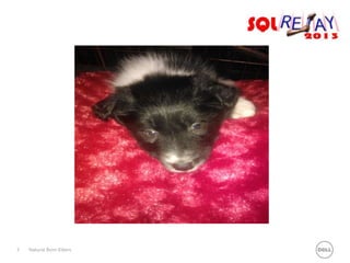 3

Natural Born Killers

 