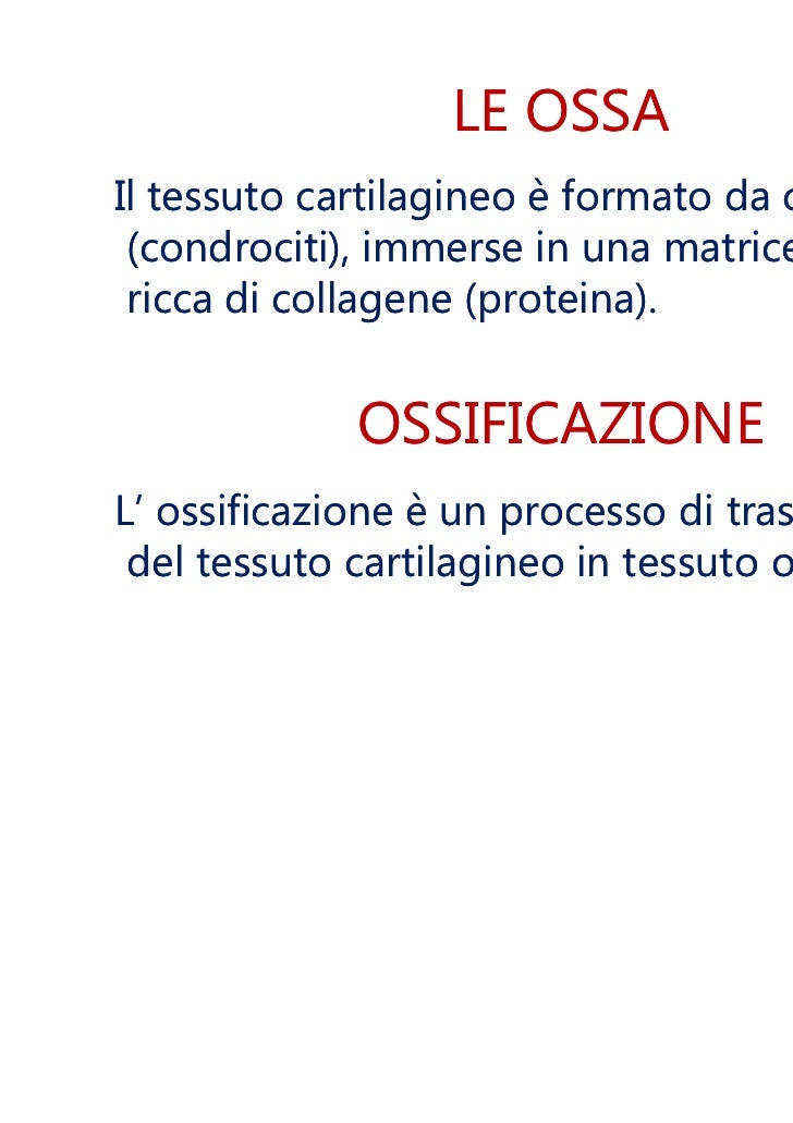 Danno muscolare del collo al di sinistra e a destra