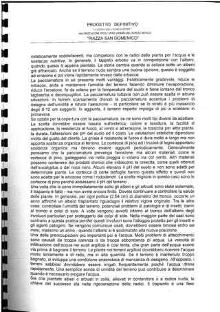 Relazione botanica piazza lorch
