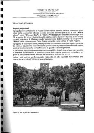 Relazione botanica piazza lorch
