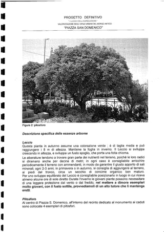 Relazione botanica piazza lorch