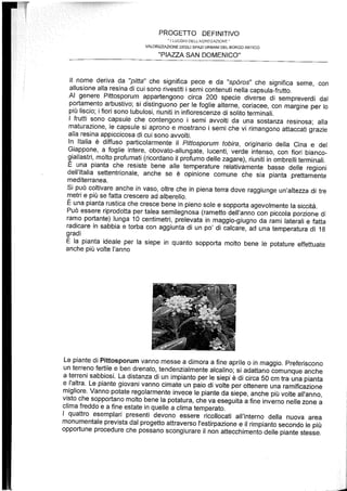 Relazione botanica piazza lorch