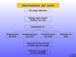Adattamento del testo
Nei gruppi cooperativi

Riepilogo degli elementi
analizzati nel testo

Realizzazione di:

Evidenziazione
del testo

Schematizzazione
del testo

Ristrutturazione
del testo

Presentazione del materiale
realizzato agli altri gruppi
Valutazione di gruppo e
verifica individuale

Riduzione del
testo

 