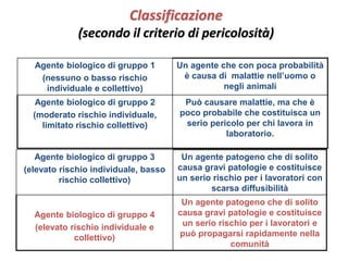 Classificazione 
(secondo il criterio di pericolosità) 
Agente biologico di gruppo 1 
(nessuno o basso rischio 
individuale e collettivo) 
Un agente che con poca probabilità 
è causa di malattie nell’uomo o 
negli animali 
Agente biologico di gruppo 2 
(moderato rischio individuale, 
limitato rischio collettivo) 
Può causare malattie, ma che è 
poco probabile che costituisca un 
serio pericolo per chi lavora in 
laboratorio. 
Agente biologico di gruppo 3 
(elevato rischio individuale, basso 
rischio collettivo) 
Un agente patogeno che di solito 
causa gravi patologie e costituisce 
un serio rischio per i lavoratori con 
scarsa diffusibilità 
Agente biologico di gruppo 4 
(elevato rischio individuale e 
collettivo) 
Un agente patogeno che di solito 
causa gravi patologie e costituisce 
un serio rischio per i lavoratori e 
può propagarsi rapidamente nella 
comunità 
 