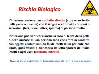 Rischio Biologico 
L'infezione avviene per contatto diretto (attraverso ferite 
della pelle o mucose) con il sangue o altri fluidi corporei o 
secrezioni (feci, urine, saliva, sperma) di persone infette. 
L'infezione può verificarsi anche in caso di ferite della pelle 
o delle mucose di una persona sana che entra in contatto 
con oggetti contaminati da fluidi infetti di un paziente con 
Ebola, quali vestiti e biancheria da letto sporchi dei fluidi 
infetti o aghi usati (contatto indiretto). 
Non vi sono evidenze di trasmissione del virus per via aerea 
 