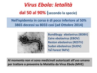 Virus Ebola: letalità 
dal 50 al 90% (secondo la specie) 
Nell’epidemia in corso è di poco inferiore al 50% 
3865 decessi su 8033 casi (ad Ottobre 2014) 
Bundibugy ebolavirus (BDBV) 
Zaire ebolavirus (EBOV) 
Reston ebolavirus (RESTV) 
Sudan ebolavirus (SUDV) 
TaЇ Forest TAFV) 
Al momento non vi sono medicinali autorizzati all’uso umano 
per trattare o prevenire la Malattia da Virus Ebola (MVE) 
 
