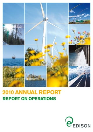 2010 ANNUAL REPORT
REPORT ON OPERATIONS
 