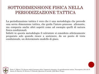 SOTTODIMENSIONE FISICA NELLA
PERIODIZZAZIONE TATTICA
La periodizzazione tattica è vero che è una metodologia che prevede
una sovra dimensione tattica, che guida l’intero processo allenante,
ma comporta anche altri aspetti come ad esempio quelli di natura
fisica condizionali.
Infatti in questa metodologia il calciatore si considera atleticamente
preparato solo quando riesce a sostenere, da un punto di vista
condizionale, un determinato modello di gioco.
Fonte: G. Maiuri, Un diverso modo di pensare calcio: l’approccio sistemico e la periodizzazione tattica, Youcanprint, 2014 da N.
Ameiro, R. Barreto, B. Oliveira, N. Resende, Questione di metodo, 2006 Marco Tropea
 