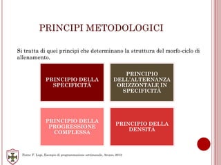 PRINCIPI METODOLOGICI
Si tratta di quei principi che determinano la struttura del morfo-ciclo di
allenamento.
PRINCIPIO DELLA
SPECIFICITÀ
PRINCIPIO
DELL’ALTERNANZA
ORIZZONTALE IN
SPECIFICITÀ
PRINCIPIO DELLA
PROGRESSIONE
COMPLESSA
PRINCIPIO DELLA
DENSITÀ
Fonte: F. Lupi, Esempio di programmazione settimanale, Arezzo, 2012
 