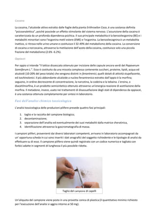 Cocaina
La cocaina, l’alcaloide attivo estratto dalle foglie della pianta Erithroxilon Coca, è una sostanza definita
“psicoanalettica”, poiché possiede un effetto stimolante del sistema nervoso. L’assunzione della cocaina è
caratterizzata da un profonda dipendenza psichica. Il suo principale metabolita è la benzoilecgonina (BE) e i
metaboliti minoritari sono l’ecgonina metil estere (EME) e l’ecgonina. La benzoilecognina è un metabolita
inattivo, si ritrova nelle urine umane e costituisce il 32-49% del metabolismo della cocaina. La conversione
di cocaina a norcocaina, attraverso la metilazione dell’azoto della cocaina, costituisce solo una piccola
frazione del metabolismo (2.6% -6.2%).
Oppiacei
Per oppio si intende “il lattice disseccato ottenuto per incisione delle capsule ancora verdi del Papaverum
Sonniferum L.”. Esso è costituito da una miscela complessa contenente zuccheri, proteine, lipidi, acqua ed
alcaloidi (10-20% del peso totale) che vengono distinti in fenantrenici, quelli dotati di attività stupefacente,
ed isochinolonici. Il più abbondante alcaloide a nucleo fenantrenico estratto dall’oppio è la morfina;
seguono, in ordine decrescente di concentrazione, la narcotina, la codeina e la tebaina. L’eroina, o
diacetilmorfina, è un prodotto semisintetico ottenuto attraverso un’energica reazione di acetilazione della
morfina. Il metadone, invece, usato nei trattamenti di disassuefazione degli stati di dipendenza da oppiacei,
è una sostanza ottenuta completamente per sintesi in laboratorio.
Fasi dell’analisi chimico tossicologica
L’analisi tossicologica delle produzioni pilifere prevede quattro fasi principali:
1. taglio e la raccolta del campione biologico;
2. decontaminazione;
3. separazione dell’analita ed eventualmente dei suoi metaboliti dalla matrice cheratinica,
4. identificazione attraverso la gascromatografia di massa.
I campioni piliferi, provenienti dai diversi laboratori competenti, arrivano in laboratorio accompagnati da
un’ opportuna scheda in cui sono inseriti i dati anagrafici del soggetto richiedente e le tipologie di analisi da
effettuare su di esso. Il campione pilifero viene quindi registrato con un codice numerico e tagliato con
forbici adatte in segmenti di lunghezza il più possibile ridotta.
Un’aliquota del campione viene posta in una provetta conica di plastica (il quantitativo minimo richiesto
per l’esecuzione dell’analisi si aggira intorno ai 50 mg).
Taglio del campione di capelli
 