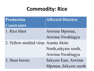 Commodity: Rice 
Production 
Constraints 
Affected Districts 
1. Rice blast Atwima Mponua, 
Atwima Nwabiagya 
2. Yellow mottled virus Asante Akim 
North,sekyere south, 
Atwima Nwabiagya 
3. Stem borers Sekyere East, Atwima 
Mponua ,Sekyere suoth 
 