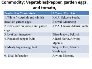 Commodity: Vegetables(Pepper, garden eggs, 
and tomato, 
Production Constraints Affected Districts 
1. White fly, Aphids and whitish 
insect on garden eggs 
KMA, Sekyere South, 
Bekwai, Mampong 
2. Nematode on tomato and garden 
eggs 
KMA, Obuasi, Adansi South 
3. Leaf curl in pepper Ejisu-Juaben, Bekwai 
4. Rotten of pepper fruits Adansi North, Atwima 
Mponua 
5. Mealy bugs on eggplant Sekyere East, Atwima 
Nwabiagya 
6. Snail infestation Atwima Mponua, 
 