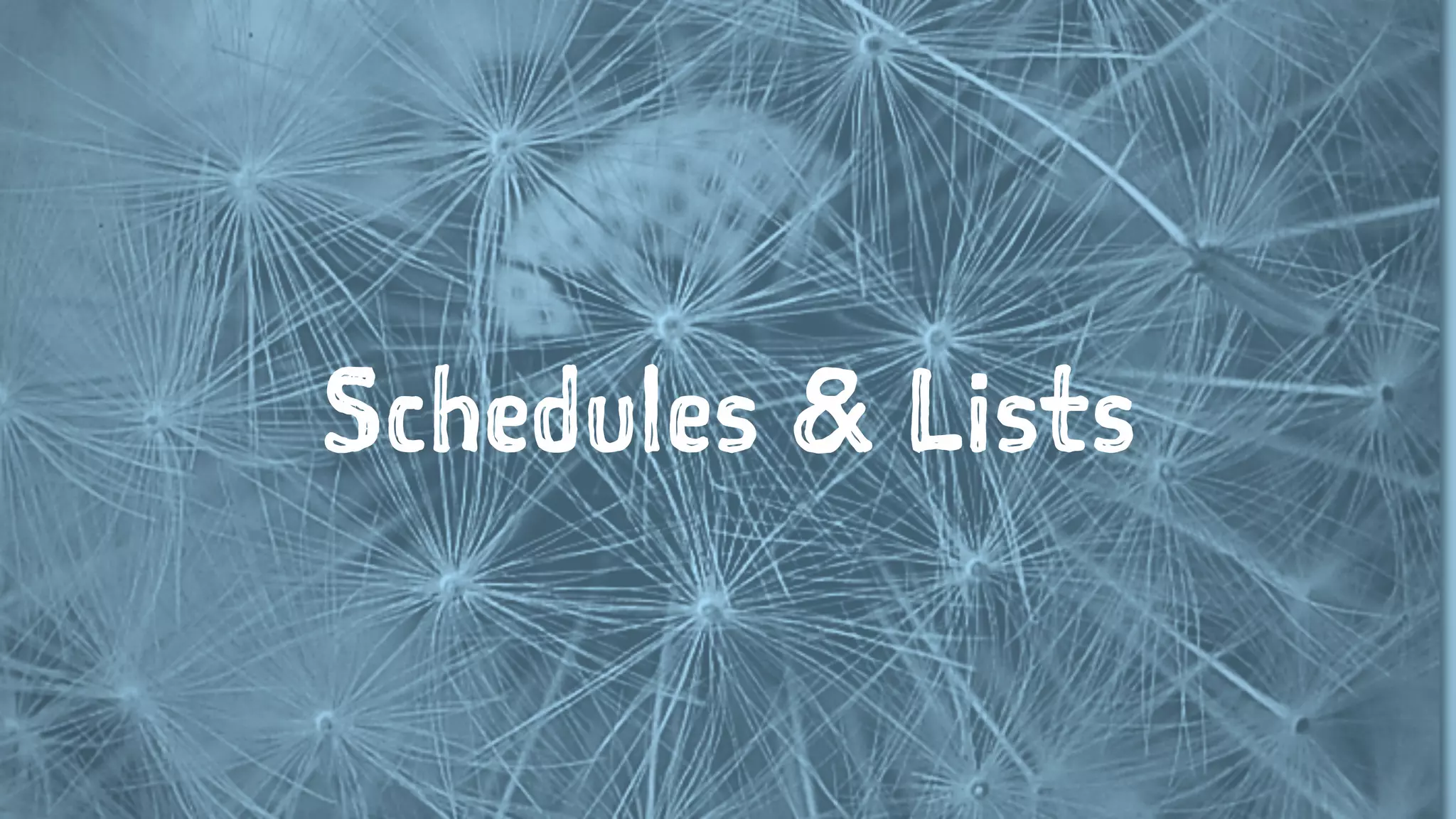 Schedules & Lists
 