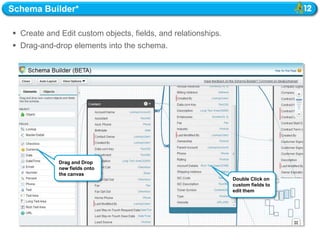 Schema Builder*

 Create and Edit custom objects, fields, and relationships.
 Drag-and-drop elements into the schema.




             Drag and Drop
             new fields onto
             the canvas
                                                               Double Click on
                                                               custom fields to
                                                               edit them
 