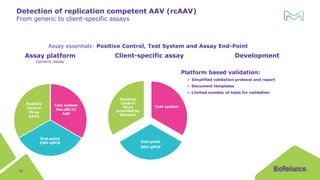 Releasing Your AAV Therapy with Confidence: Regulatory Considerations ...