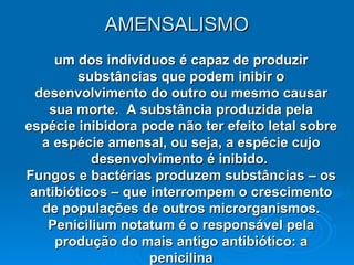 AMENSALISMO um dos indivíduos é capaz de produzir substâncias que podem inibir o desenvolvimento do outro ou mesmo causar sua morte.  A substância produzida pela espécie inibidora pode não ter efeito letal sobre a espécie amensal, ou seja, a espécie cujo desenvolvimento é inibido.  Fungos e bactérias produzem substâncias – os antibióticos – que interrompem o crescimento de populações de outros microrganismos. Penicilium notatum é o responsável pela produção do mais antigo antibiótico: a penicilina 